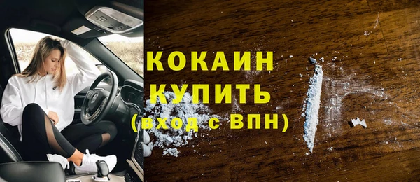 бошки Новодвинск