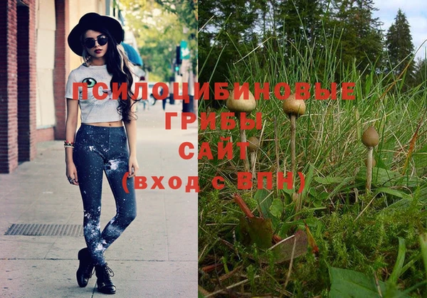 дурь Нефтегорск